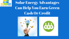 Earn Green Cash Or Credit